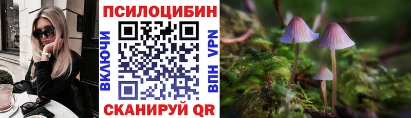 Купить  Гвардейск  Галлюциногенные грибы GOLDEN TEACHER 